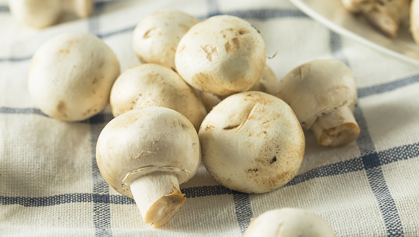 Buy Mushroom Online